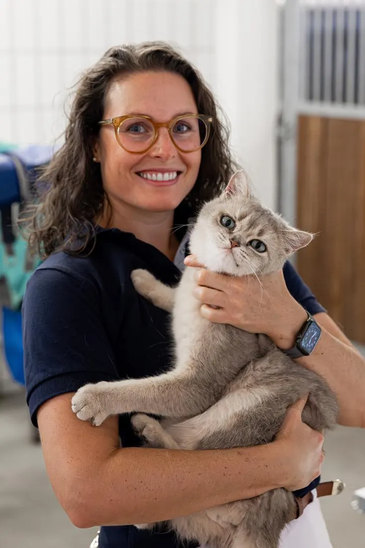 Tierärztin hält eine graue Katze im Arm